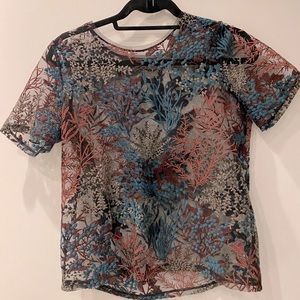 Rare Zara embroidered sheer top